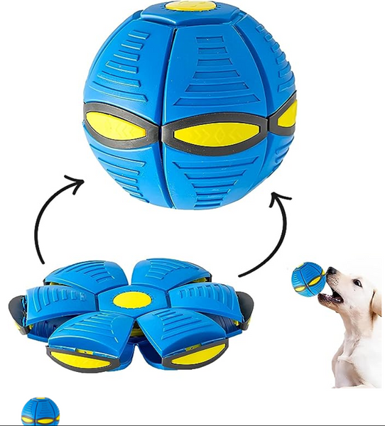 Pelota de freesbe